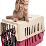 Pet Carrier KARMAS PRODUCT Hard Plastic Kennel-0